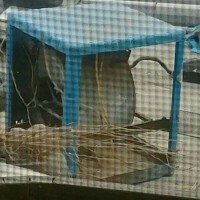 کولر ابی 7000با سرمای عالی